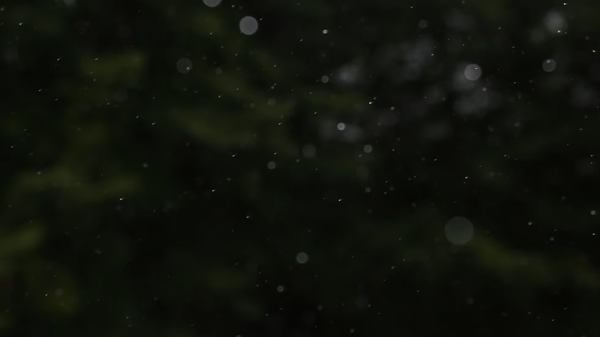 Astrology-Lorem ipsum dolor sit amet